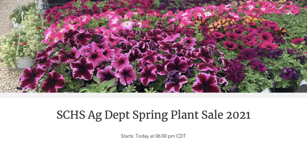 SCHS Ag Department Plant Sale