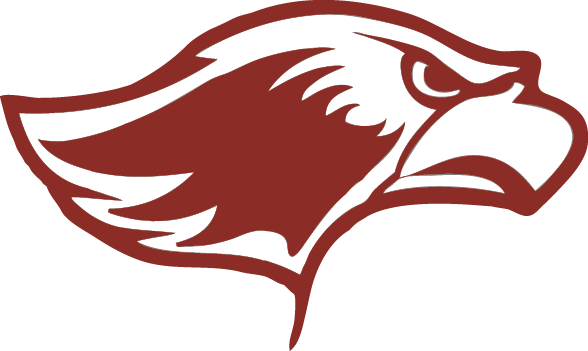 SSD Hawk